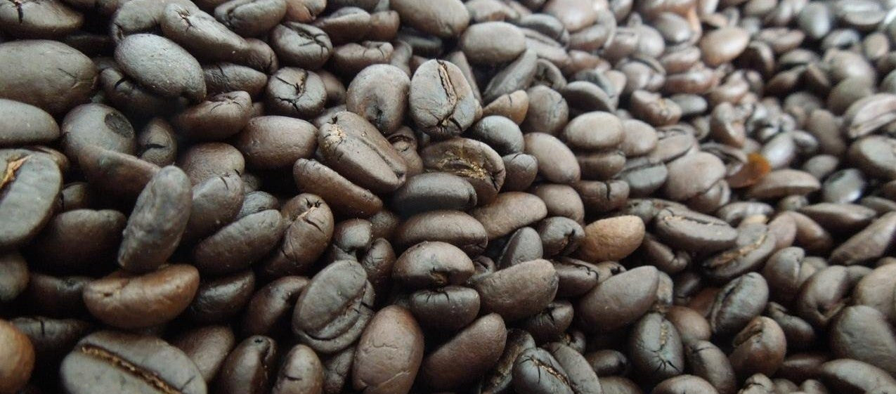 organic coffee beans